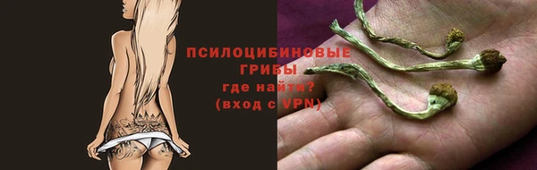 синтетический гашиш Елабуга
