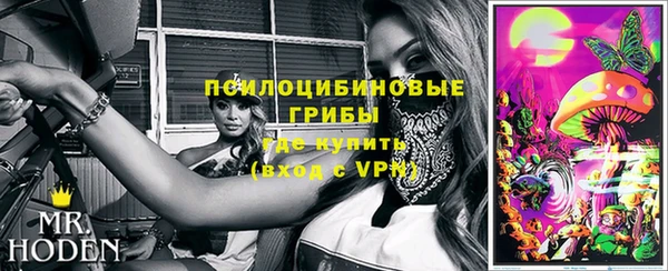 дурь Дмитровск