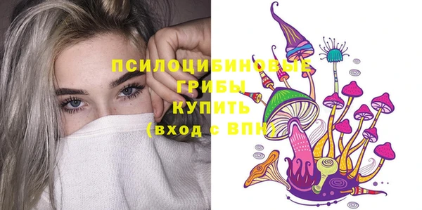 дурь Дмитровск