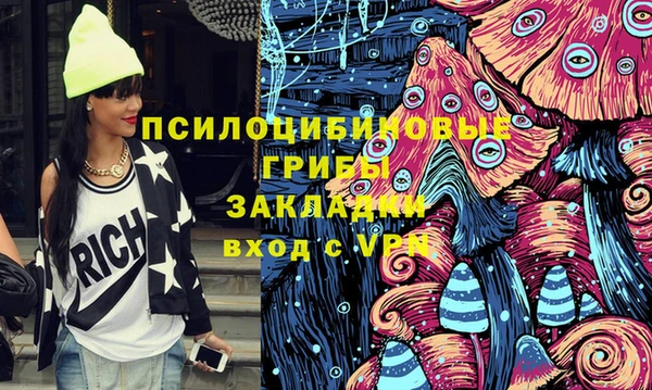 прущий лед Ельня