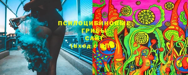 мяу мяу мука Дмитриев