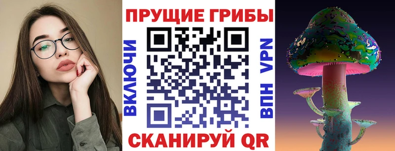 Псилоцибиновые грибы Psilocybine cubensis  Екатеринбург 