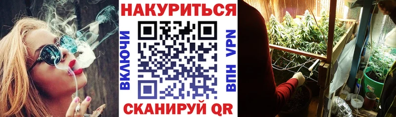 Канабис план  продажа наркотиков  площадка какой сайт  Екатеринбург 